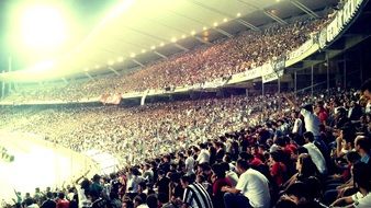 people in the stands of a sports stadium