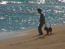 child boy with dog on sea beach