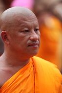 monk buddhist meditate tradition orange robe