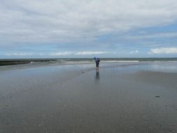 person walking on the beach