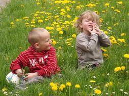 Children on the meadow