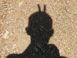 shadow of a man with horns