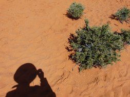 man's shadow on the sand in the desert