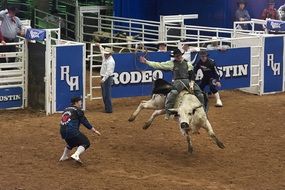 rodeo cowboys