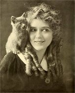 Mary Pickford actress with a cat