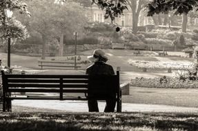 photo of an old woman on a park bench