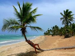 girl on beach palm