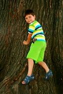 child playing in a tree