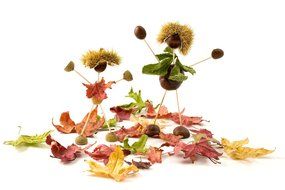 little men from acorns and dry leaves