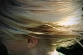 photo of blonde hair