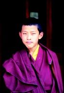 boy in a purple suit