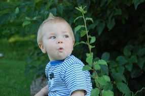 cute charming child portrait