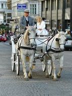 vienna coach carriage