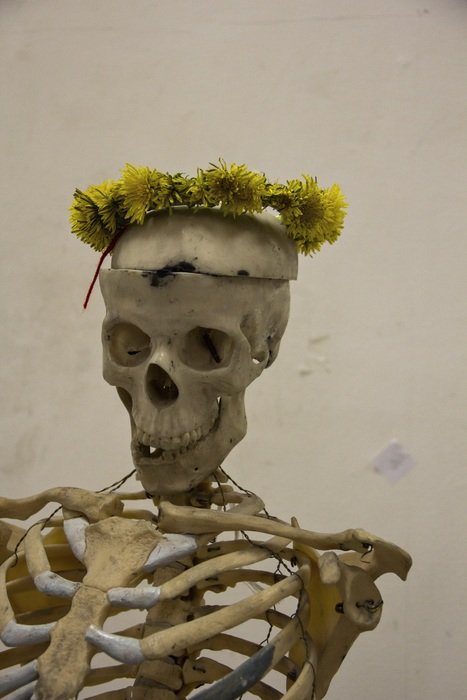 wreath of yellow dandelions on the skeleton