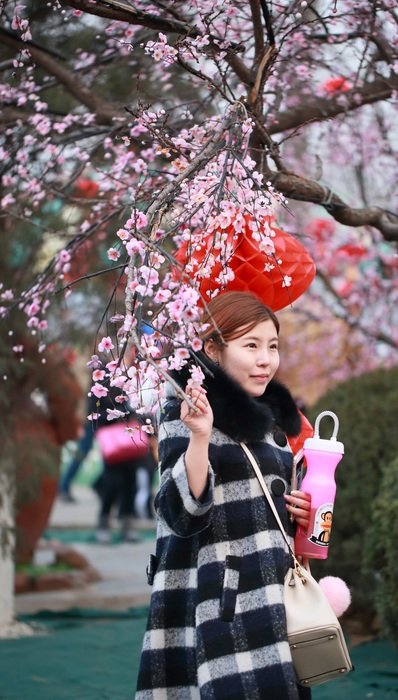 girls beneath sakura tree on chinese new year, china, beijing
