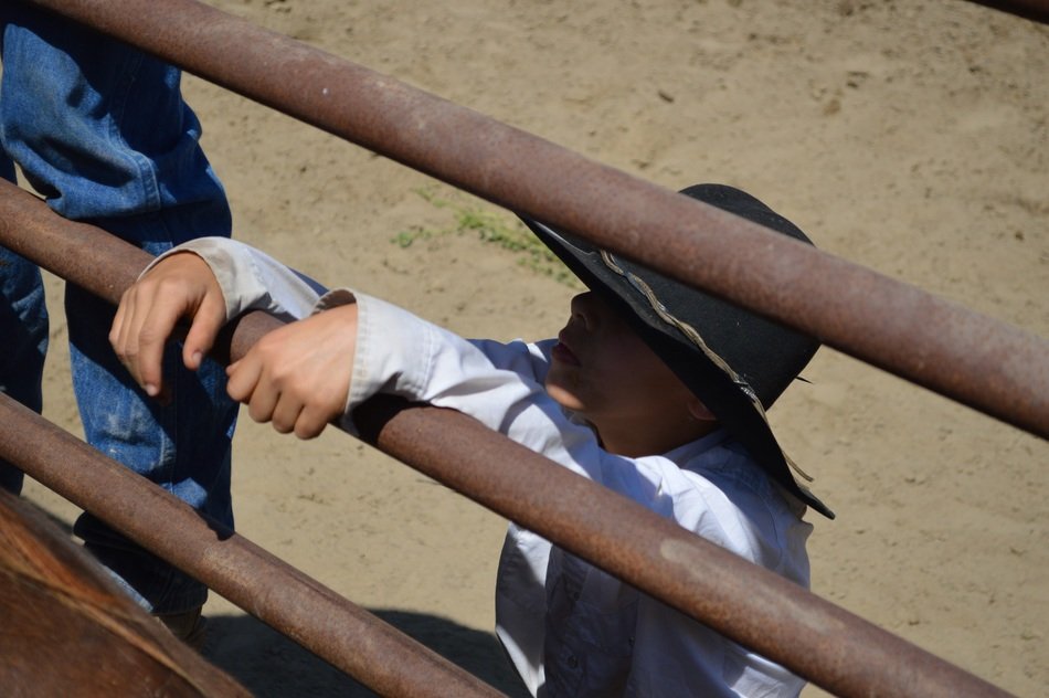 man at the gate on the ranch