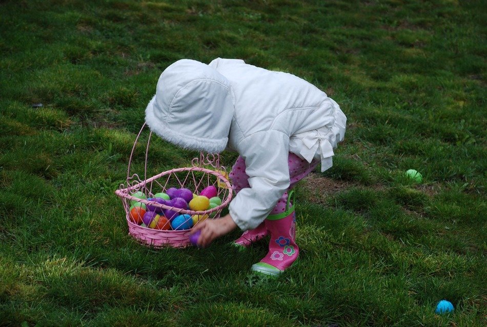 easter egg's hunter