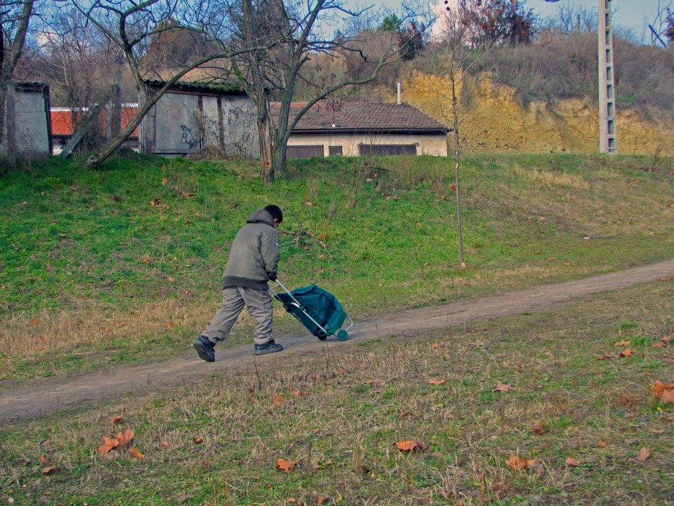 boy with a wheelbarrow in the village