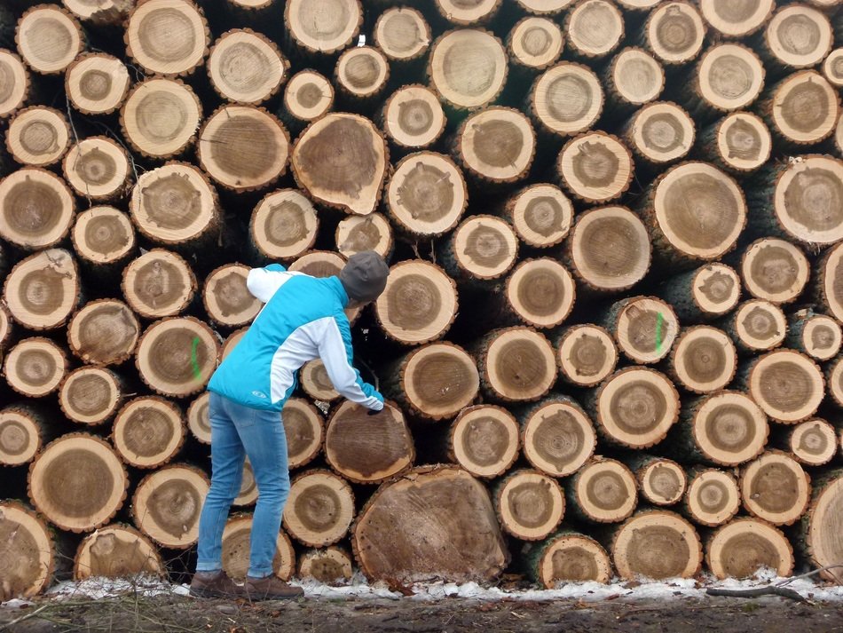 man near lumber