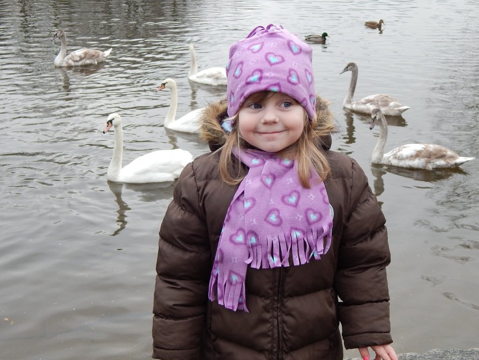 little girl is walking near the lake with swans