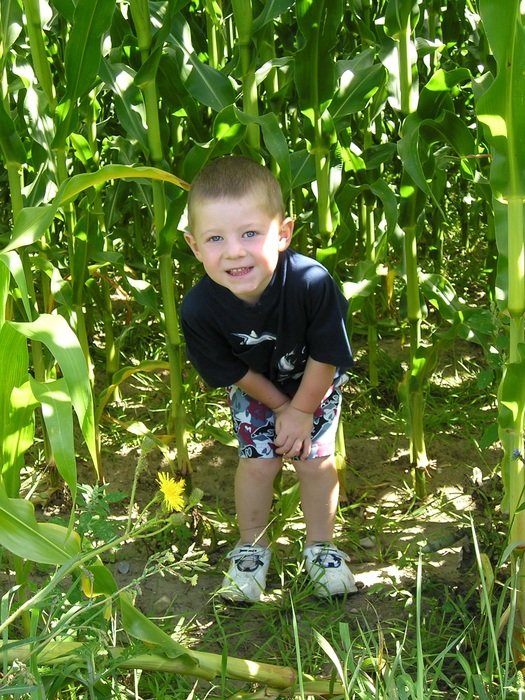 happy baby on green cornfield