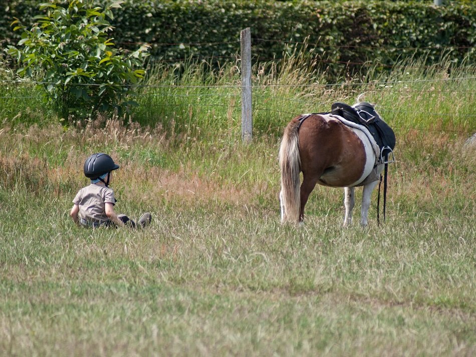 photo of the horse and child in nature