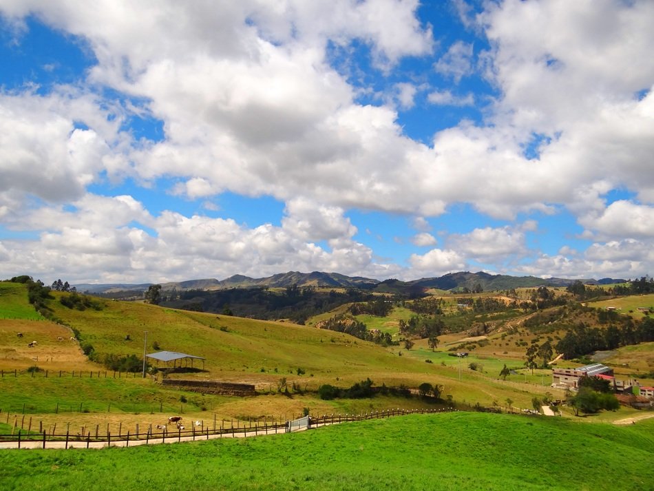 panoramic view of a green field in the cundinamarca department in colombia
