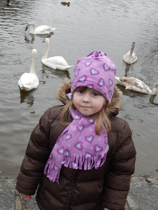 Girl near the swans