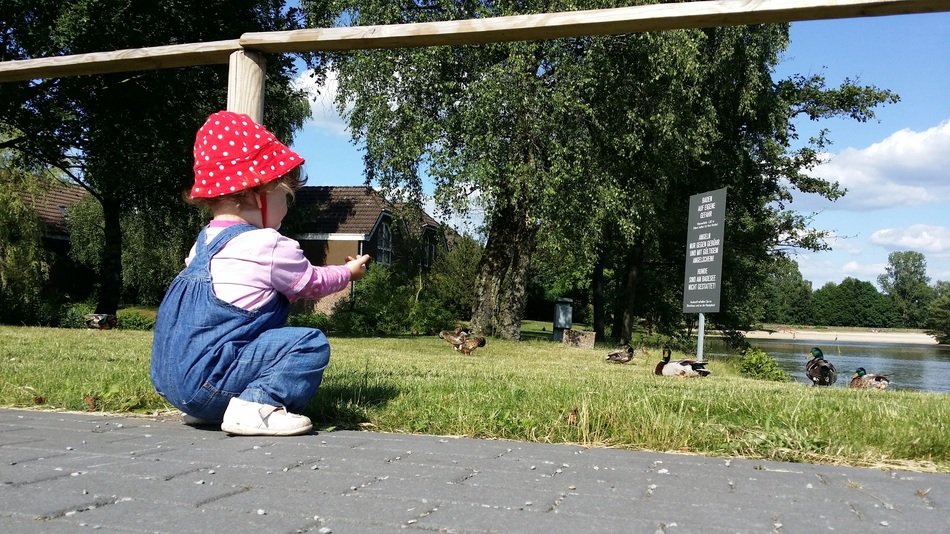baby near the duck pond