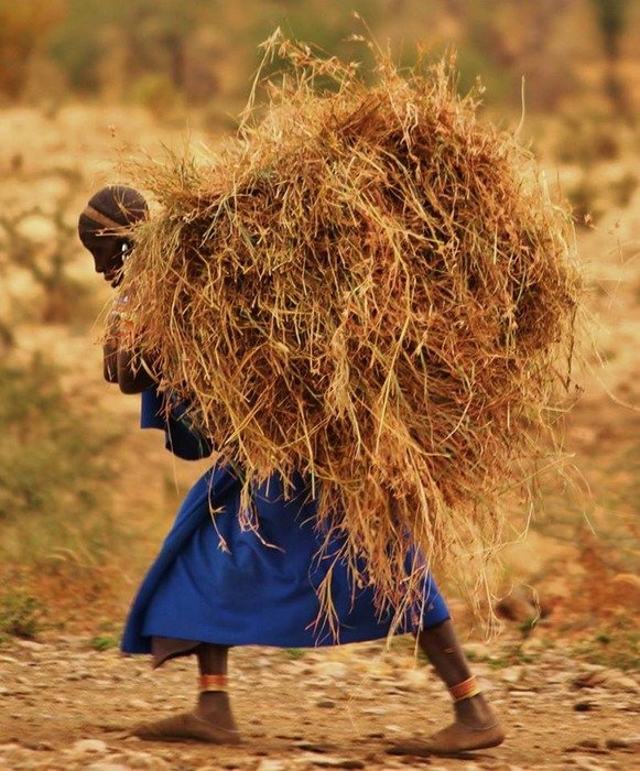 massai people Tanzania