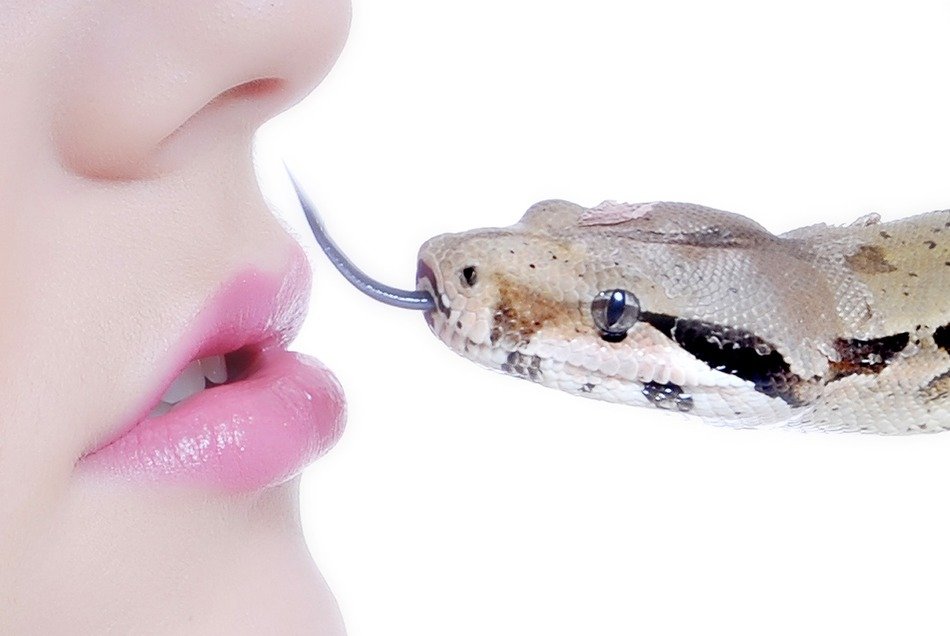 pink lips girl and snake