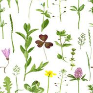 Seamless pattern with herbs and leaves