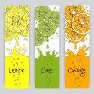 Citrus fruit banners
