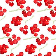 Red currant seamless pattern N2