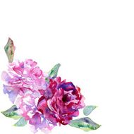 White background with violet pink peons and copy space N2