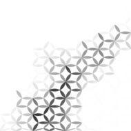 Gray White mesh Background Creative Design Templates N5