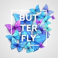Vector butterflies background design N2