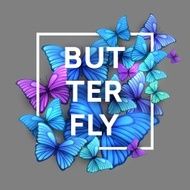 Vector butterflies background design N3
