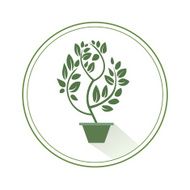 Green tree on a white background vector