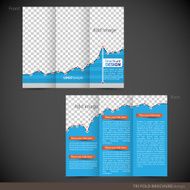 Tri Folder Brochure - Leaflet mock up N17
