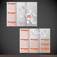 Tri Folder Brochure - Leaflet mock up N18