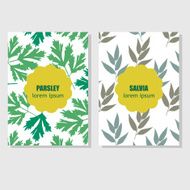 Concept for packing design with aromatic herbs and spices N2