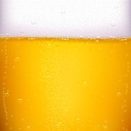 beer back