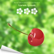 Sticky label with cherry and green blurred background