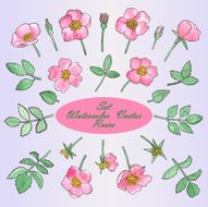 Set with Hand Drawn Watercolor Roses and leaves