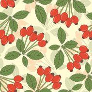 berries of dog rose