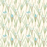 crocuses