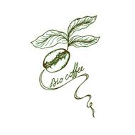 bio coffee