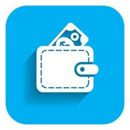 Wallet Icon N10
