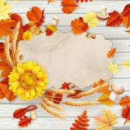 Colorful leaves background EPS 10 N6